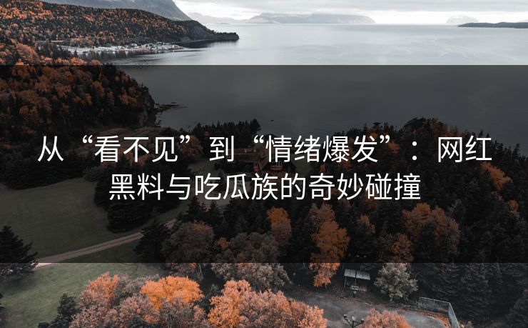 从“看不见”到“情绪爆发”：网红黑料与吃瓜族的奇妙碰撞