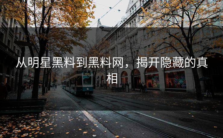 从明星黑料到黑料网，揭开隐藏的真相