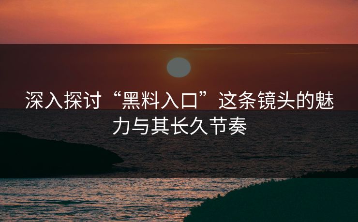 深入探讨“黑料入口”这条镜头的魅力与其长久节奏
