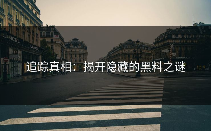 追踪真相：揭开隐藏的黑料之谜