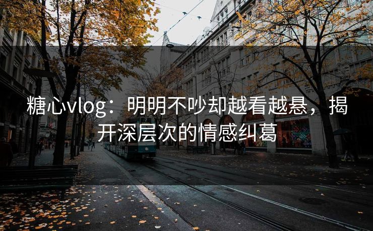 糖心vlog：明明不吵却越看越悬，揭开深层次的情感纠葛