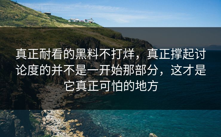 真正耐看的黑料不打烊，真正撑起讨论度的并不是一开始那部分，这才是它真正可怕的地方