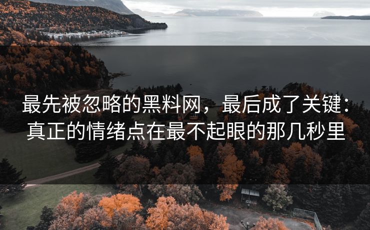 最先被忽略的黑料网，最后成了关键：真正的情绪点在最不起眼的那几秒里